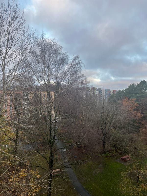 Picture of trees without leaves and some apartment buildings in the background